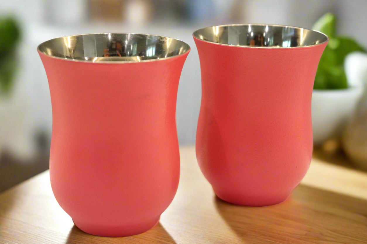Stainless Steel Pink Glasses (Set of 2)