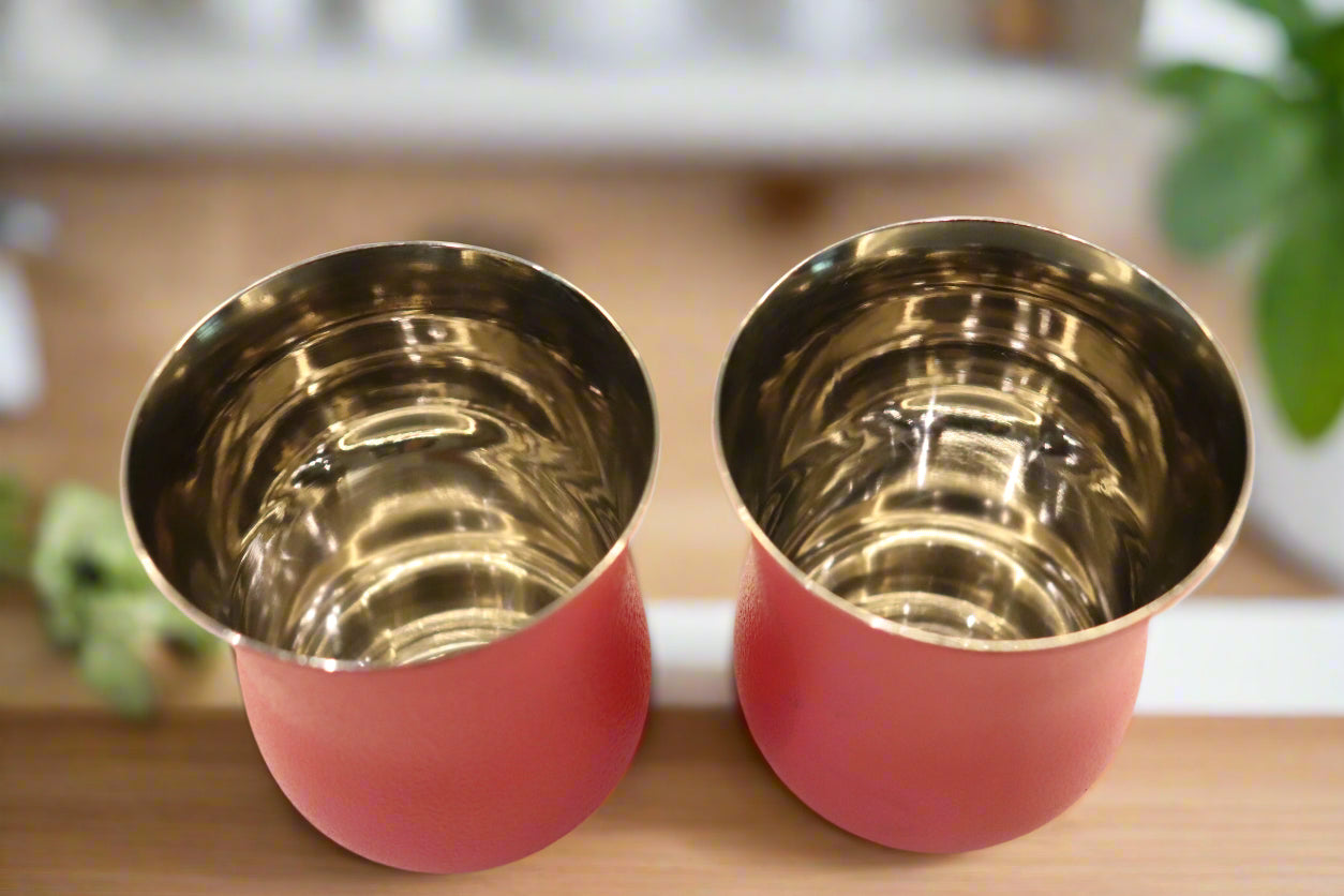 Stainless Steel Pink Glasses (Set of 2)